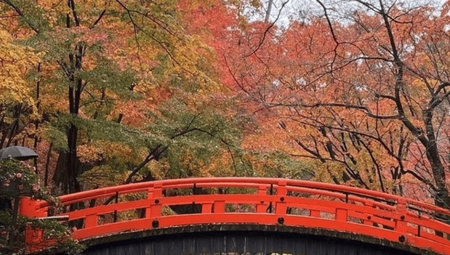 あゆみ会 絵画教室 【横浜教室】